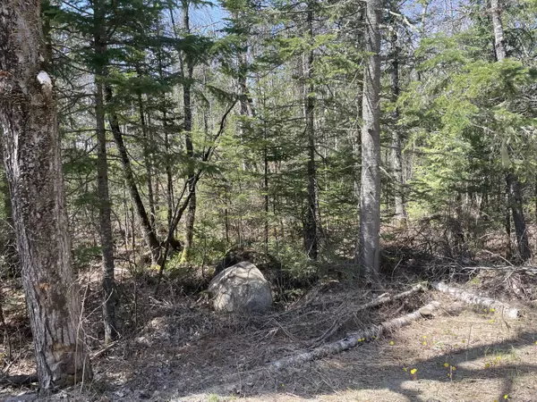 Phillips, ME 04966,172 E Madrid RD