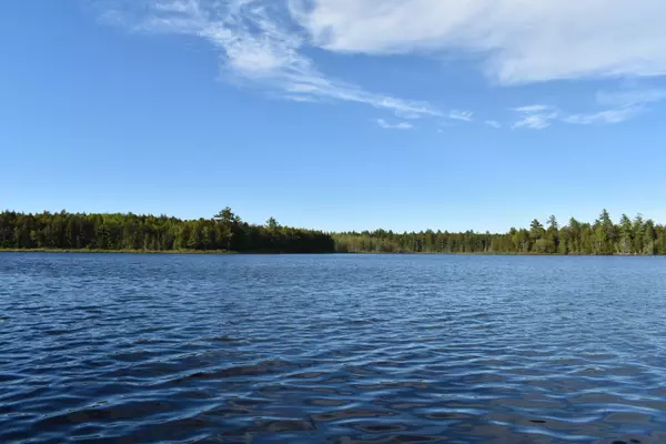 Lakeville, ME 04487,TBD Horseshoe Lake RD