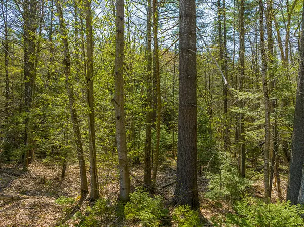 00 Camden RD, Hope, ME 04847