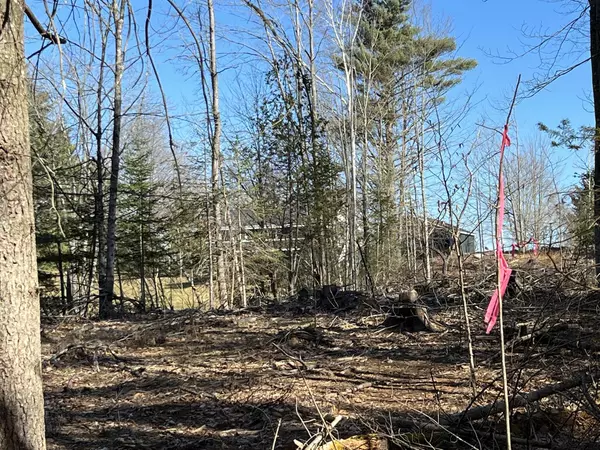Canaan, ME 04924,Map5 Lot38 Hill RD