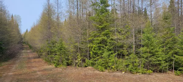 Map32 Lot1 Doucette RD, Grand Isle, ME 04746