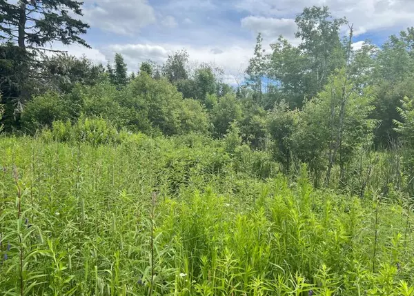 Grand Isle, ME 04756,251 Morneault RD