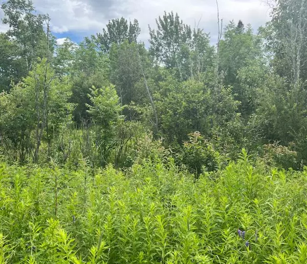 Grand Isle, ME 04756,251 Morneault RD