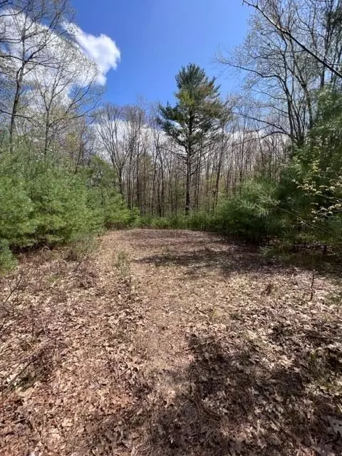 Waterboro, ME 04030,31 Mile DR