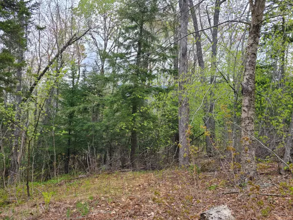 TBD (Map/Lot 07-008) Mountain RD, Coplin Plt, ME 04982