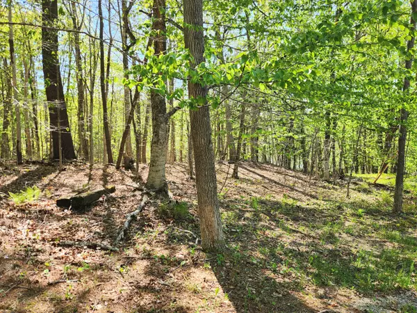 Verona Island, ME 04416,0 Verona PARK