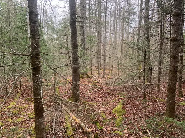 Franklin, ME 04634,0 Egypt LN