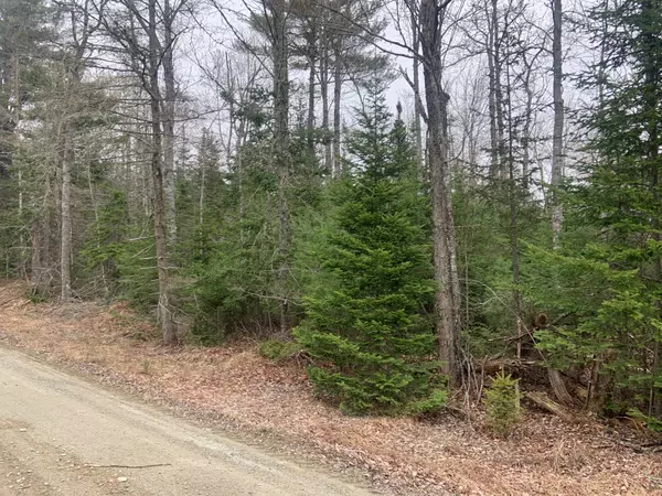 Franklin, ME 04634,0 Egypt LN