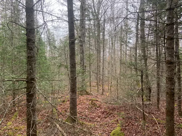 Franklin, ME 04634,0 Egypt LN