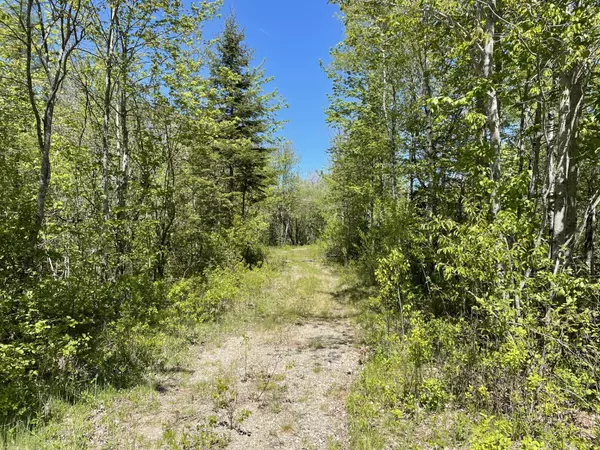 Milbridge, ME 04658,Lot 175 Poplar Lane