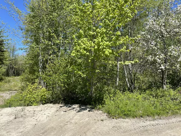 Milbridge, ME 04658,Lot 175 Poplar Lane