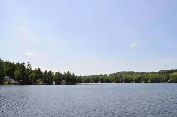 Limerick, ME 04048,0 Bucks Island