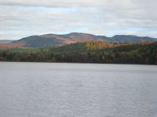 Lynchtown Twp, ME 04970,M2L7 Parmachenee Road