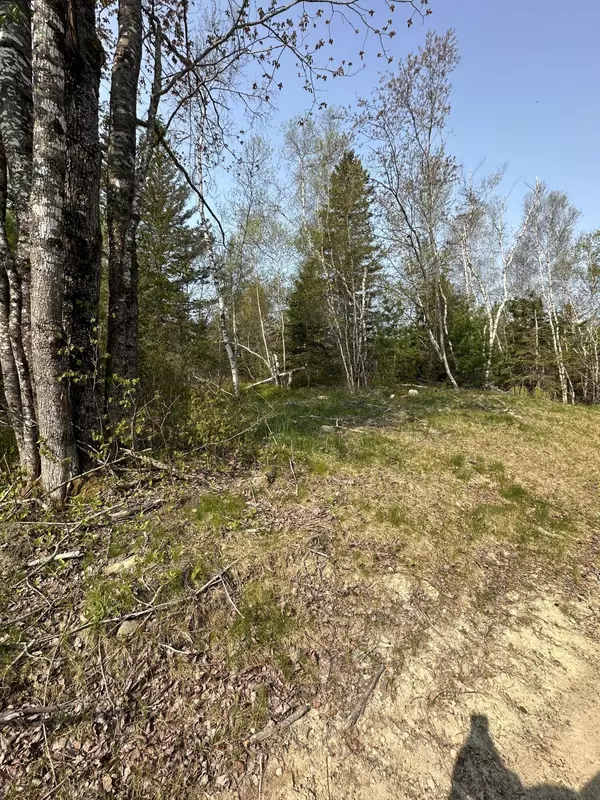 Harrington, ME 04643,TBD Cates RD