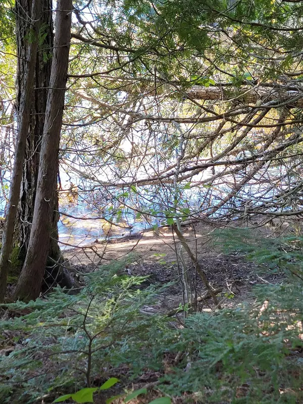 East Machias, ME 04630,165 Kennedy BLVD