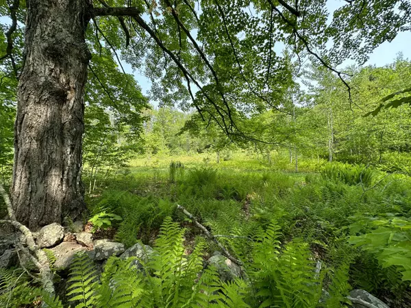 Parsonsfield, ME 04047,00 Stagecoach RD