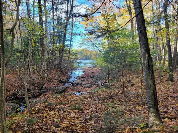 Shapleigh, ME 04076,10 Lily Pad LN