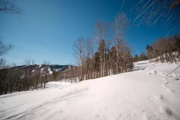 Newry, ME 04261,Lot 16 Garnet WAY