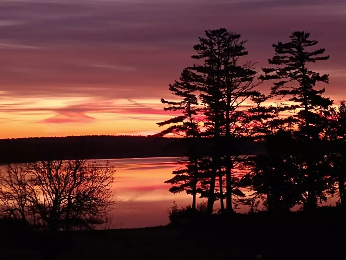 Brookton Twp, ME 04413,35 Camp RD