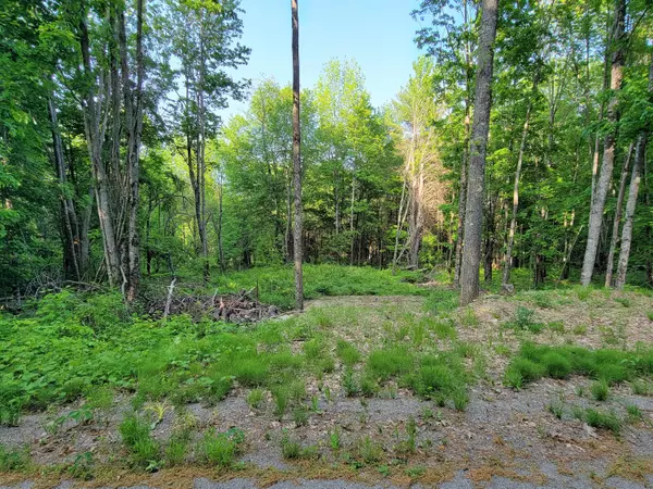 Burnham, ME 04922,7-5-3A Garcelon RD