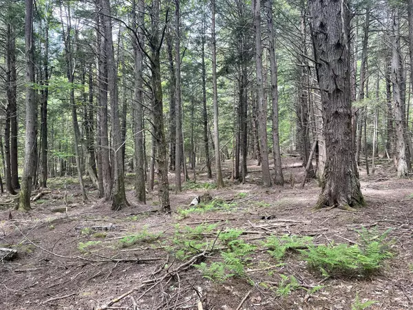 Mount Vernon, ME 04352,R10 Lot 71 Five Seasons RD