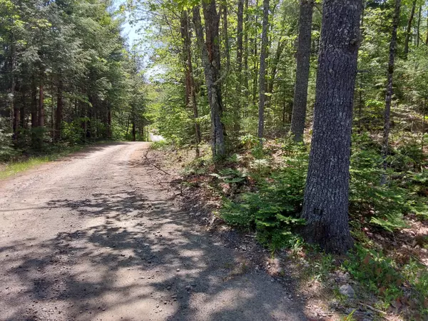 Whitefield, ME 04353,0 Town Farm RD