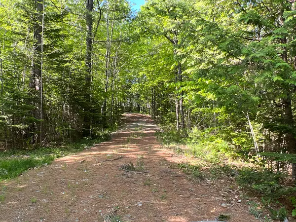 Medway, ME 04460,00 Pattagumpus Road