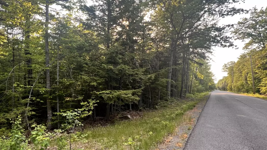 Map 4 Lot 17 TBD North Dexter RD, Parkman, ME 04443