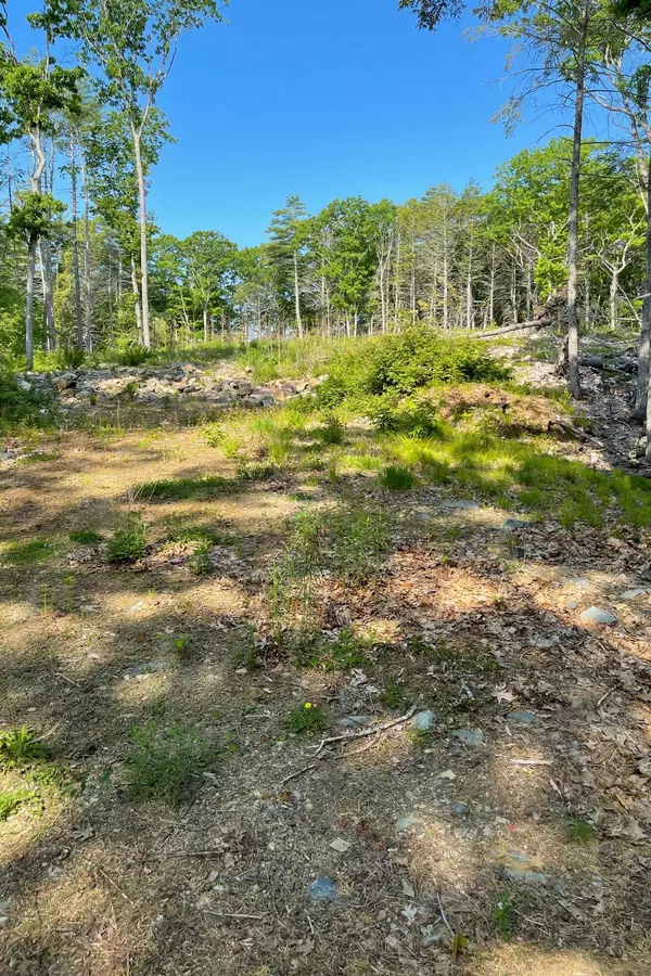 Ogunquit, ME 03907,25 Autumn River LN