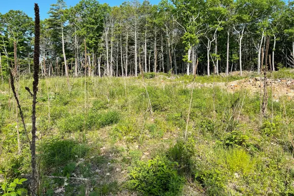 Ogunquit, ME 03907,25 Autumn River LN