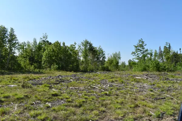 Passadumkeag, ME 04475,Off Goulds Ridge RD