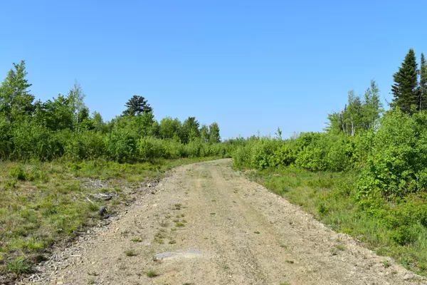 Passadumkeag, ME 04475,Off Goulds Ridge RD