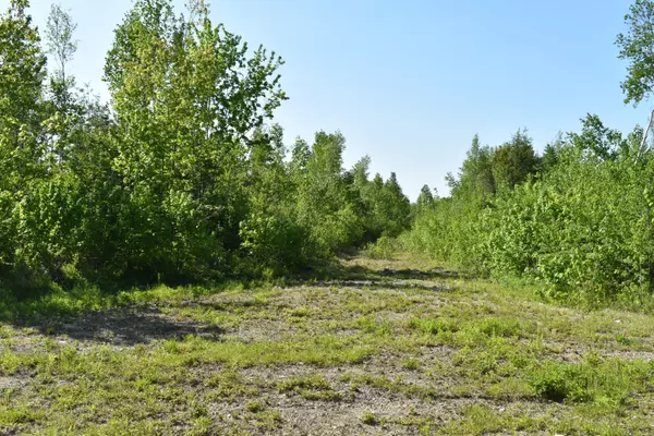 Passadumkeag, ME 04475,Off Goulds Ridge RD