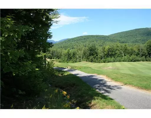 Newry, ME 04261,Lot 47 Goose Eye DR