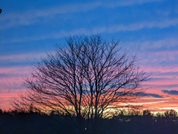 Thomaston, ME 04861,38 Sunset ST