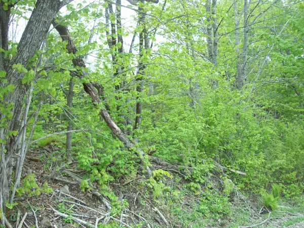 Lee, ME 04455,tbd Thomas Hill Road