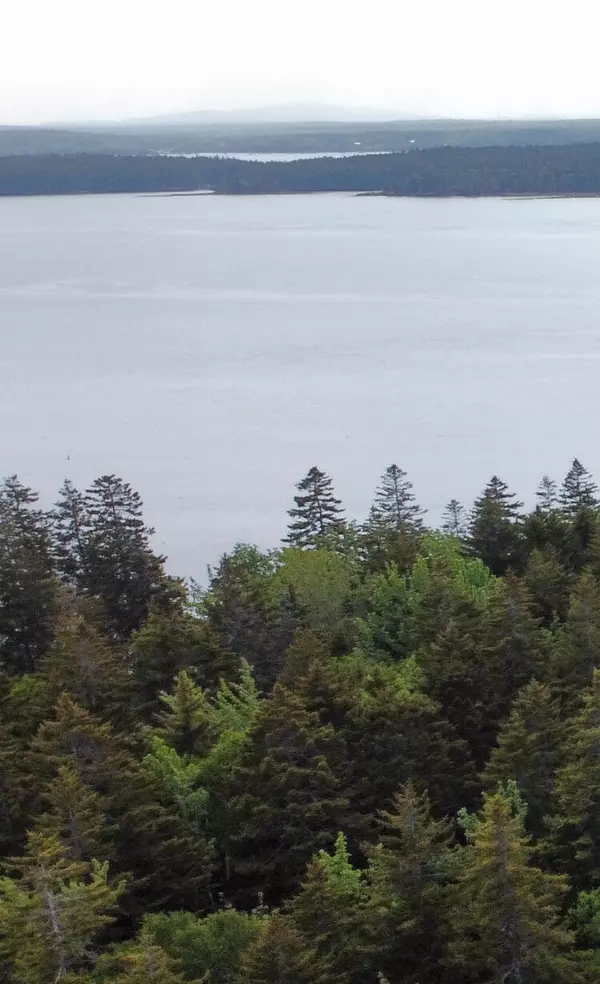 Harrington, ME 04643,Lot 5 00 Ripley Neck RD