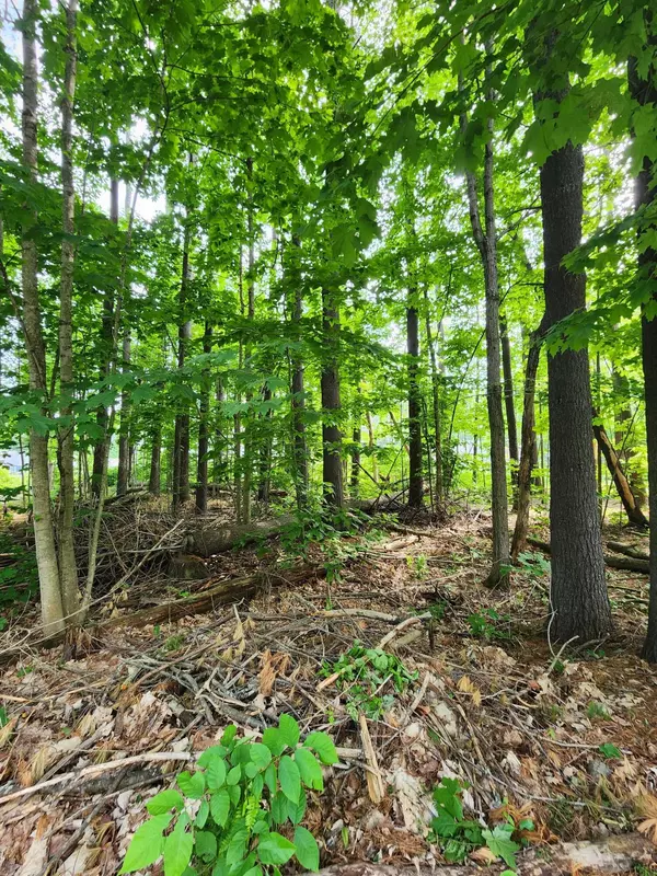 Waterville, ME 04901,8 Forest PARK