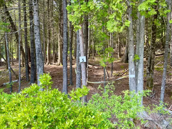 Tremont, ME 04653,5 Mount Gilboa WAY