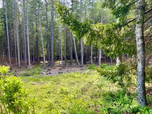 Tremont, ME 04653,5 Mount Gilboa WAY