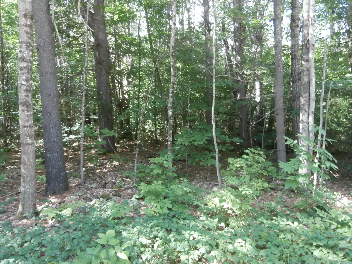 Shapleigh, ME 04076,008-069 Ross Corner RD