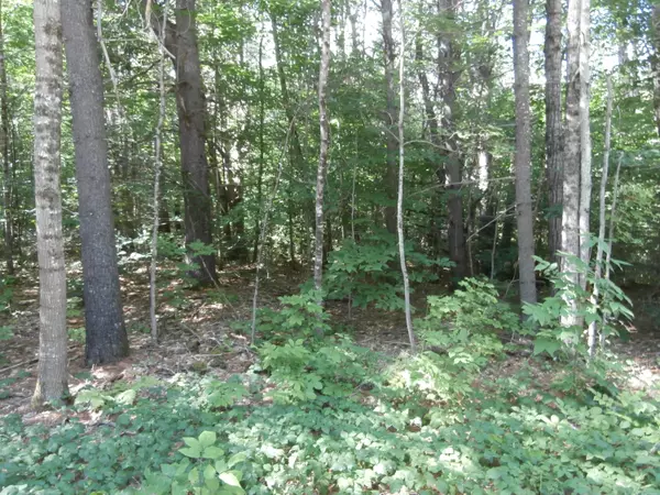 008-069 Ross Corner RD, Shapleigh, ME 04076