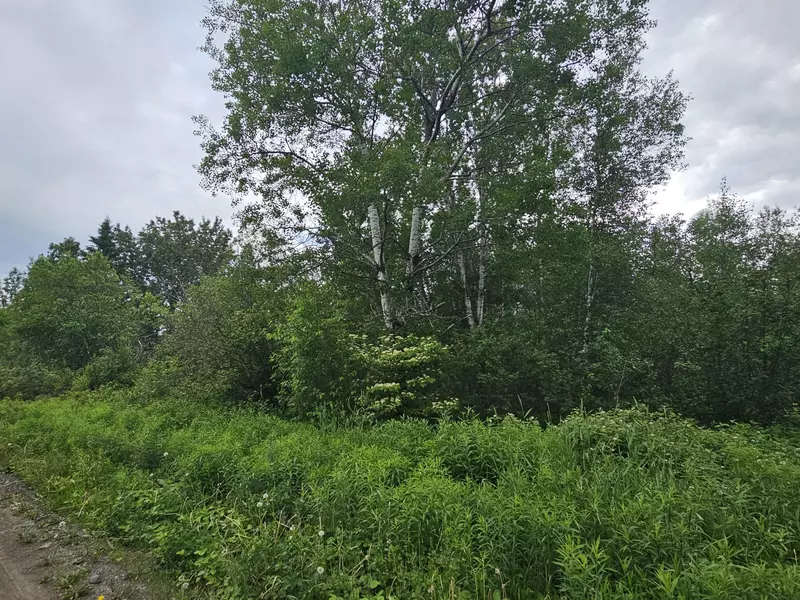 L5.1 Currie RD, Oakfield, ME 04747