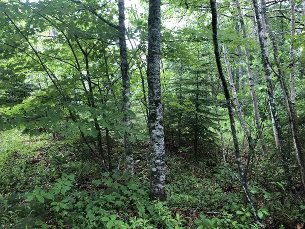 Pembroke, ME 04666,200 Upper Cross RD