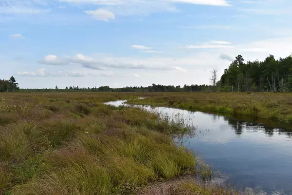 Greenbush, ME 04418,Lot 4 Stevens Brook LN