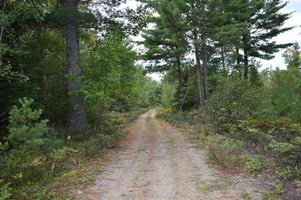 Lot 4 Stevens Brook LN, Greenbush, ME 04418