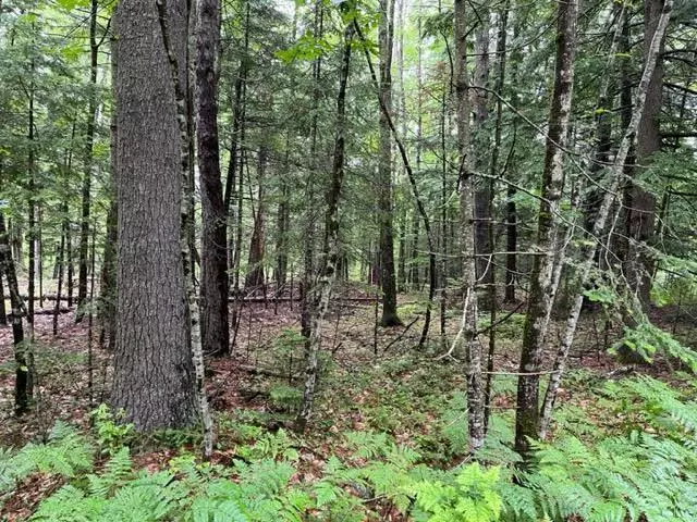 Lot 2 Donna's WAY, Saco, ME 04072