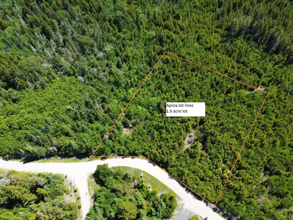 Roque Bluffs, ME 04654,M 2 L17 Chambers Point RD