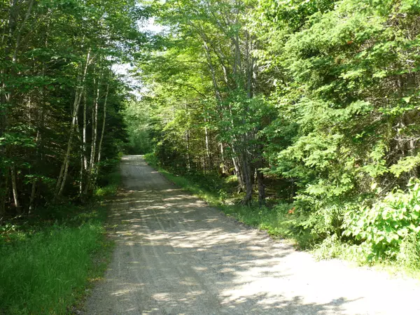 Columbia Falls, ME 04623,07-42 TIBBETTSTOWN ROAD