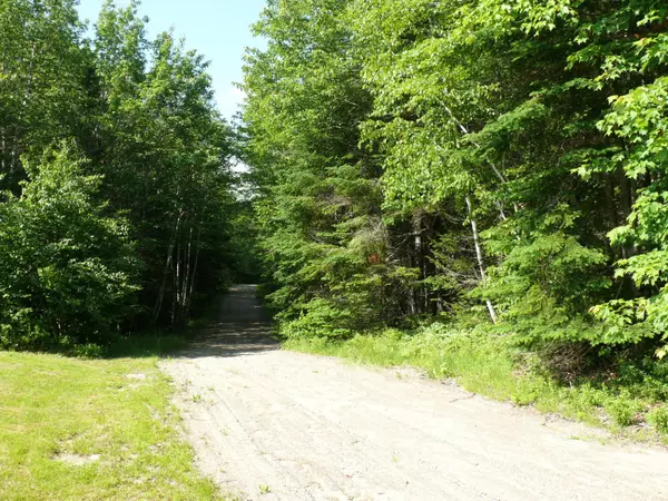 Columbia Falls, ME 04623,07-42 TIBBETTSTOWN ROAD